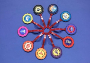 IPL Team Batches